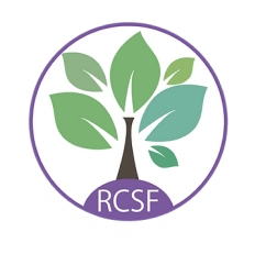 Ringsend Community Service Forum